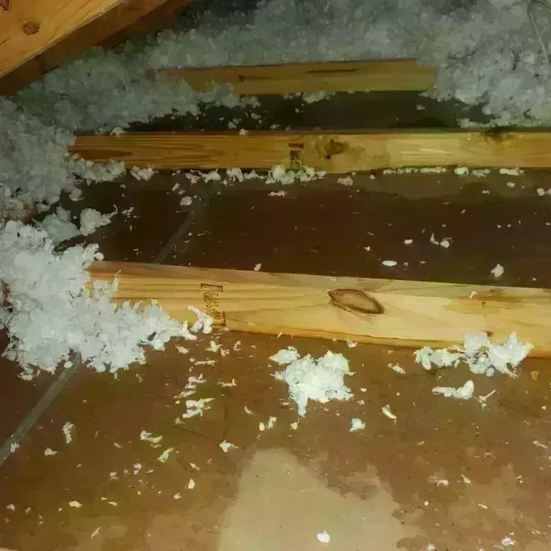 Attic Water Damage in Graves County, KY